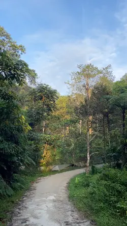 Nature Moments 