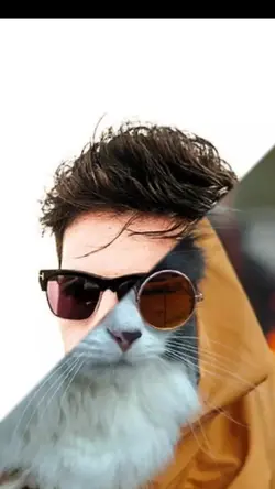 แม่แบบเปลื่ยนฉาก