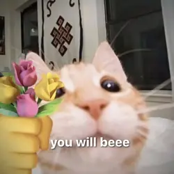 you will be my world