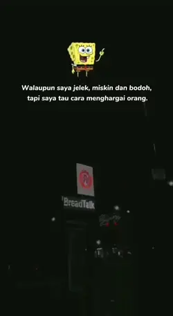 story WhatsApp