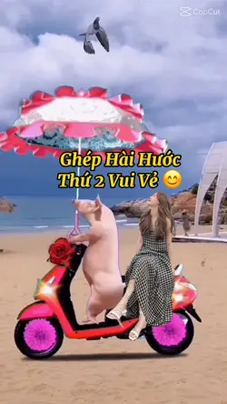Ghép Hài Hước