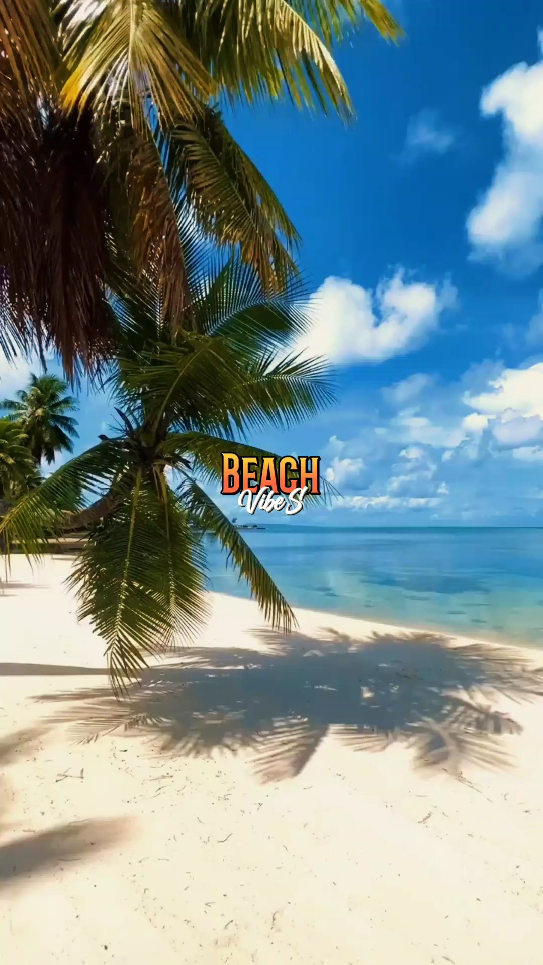 Beach Vibes