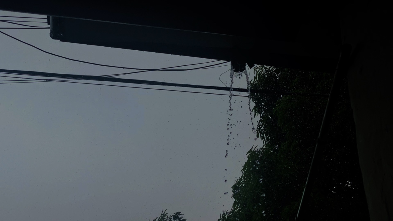 Fallé todo 