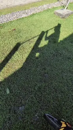 binsik 15 detik HD