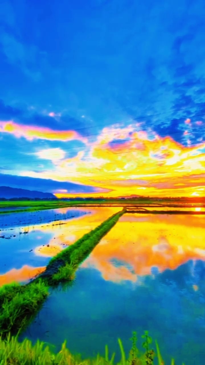 ngabuburit ke sawah