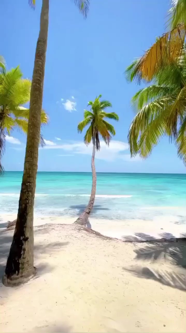 Vista a la playa