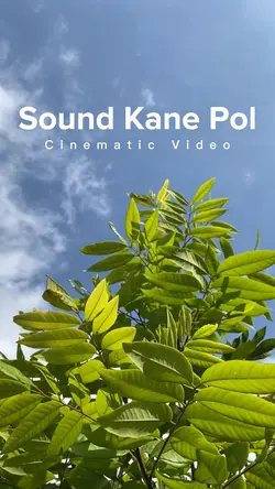 Cinematic Estetik
