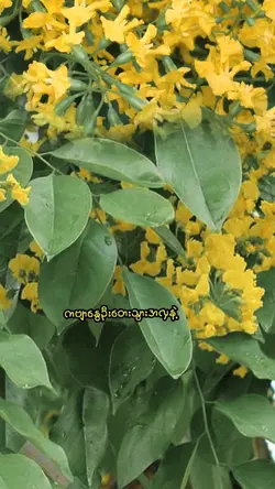 1 Photo