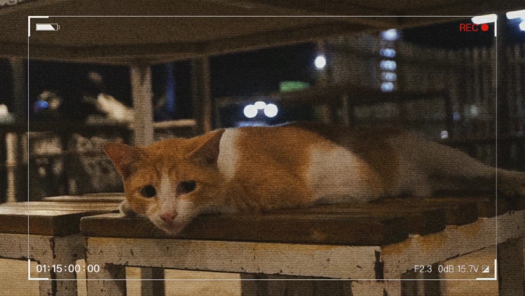 Video Frame Aestheti