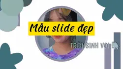 Mẫu slide