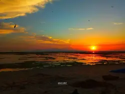 story'akd | story wa