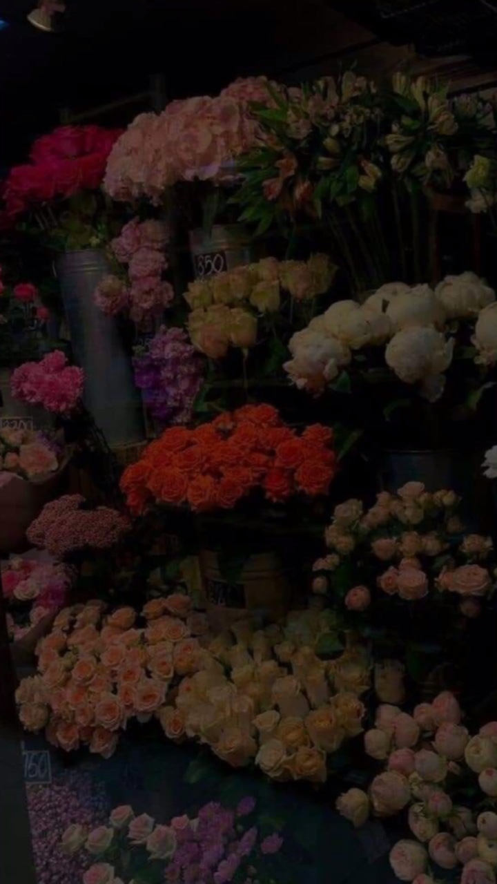 Vạn Vật Thay Đổi