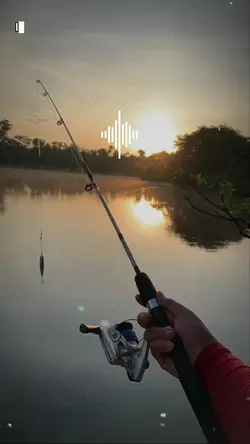 Mancing