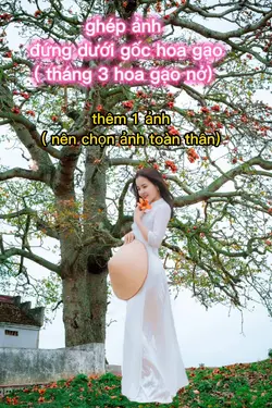 ghép ảnh hoa gạo