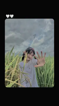 Filter IPhone 