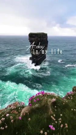 A day in my life