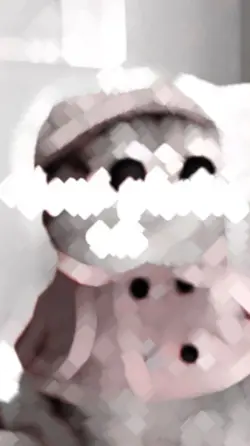 3枚で作れる自己紹介？！