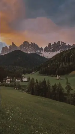 aesthetic vibes