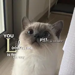 l-o-v-e
