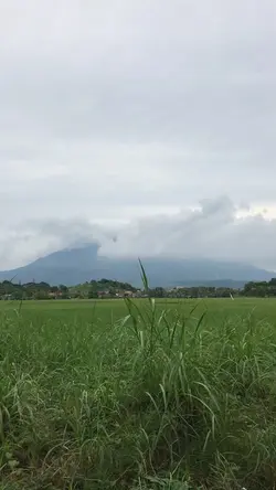 Video liburan