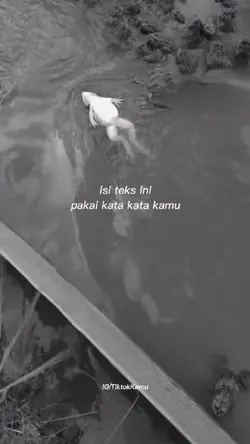 Mentahan video kata2