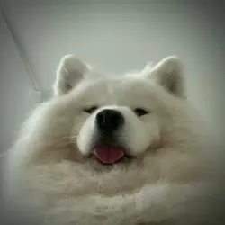 she thot heart break