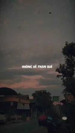 Ngoại Tôi #ngoaitoi