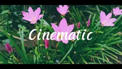 Cinematic