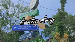daily vlog