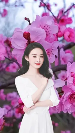 Hoa Đào