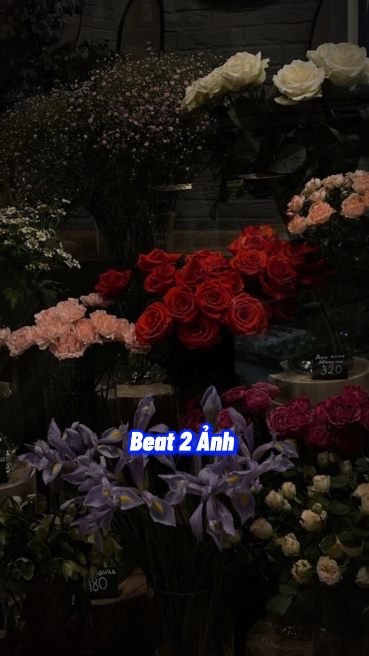 BEAT 2 ẢNH 🍓