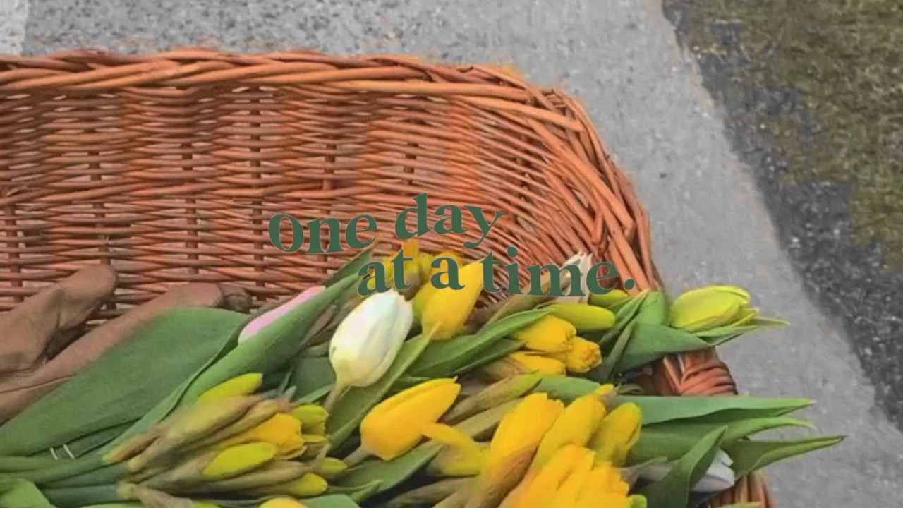 mini vlog 16:9 ver