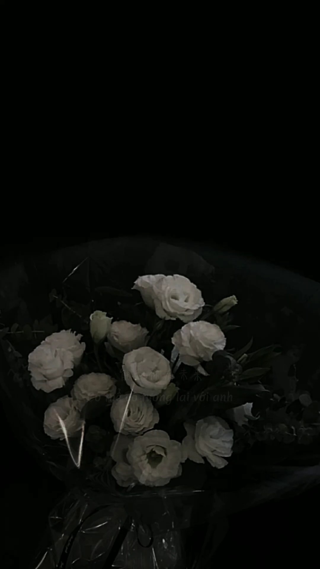 [2 + nhạc trung]