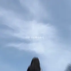 캡컷 시작한지 300일 ❤️