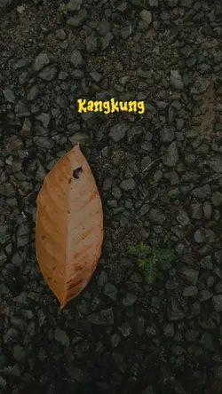 Ayo makan sehat