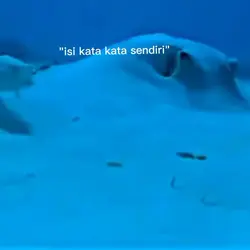 kamu lihat muka saya