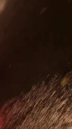 模板