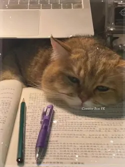 疲れた 💤💤