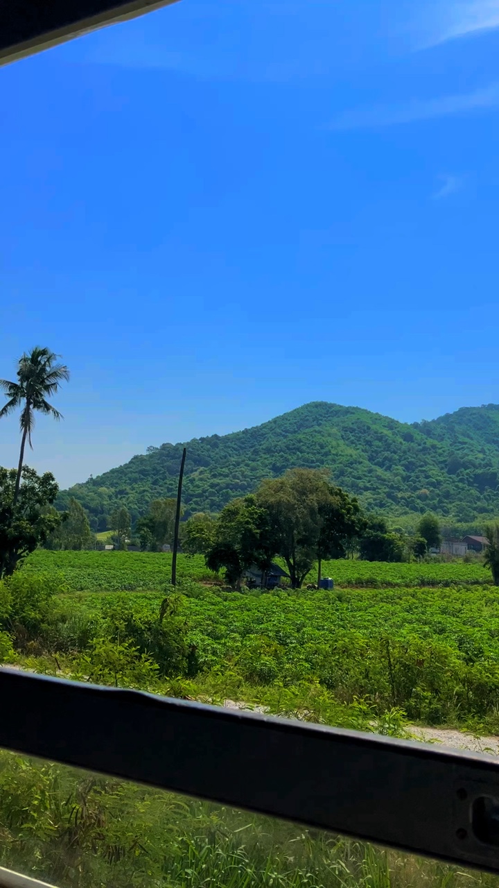 ธรรมชาติบำบัด