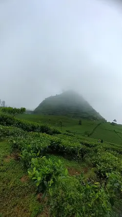 karna su sayang