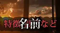 📸2枚でできる！