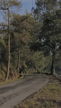 Cinematic video