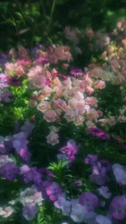 ดนตรีเบาๆ