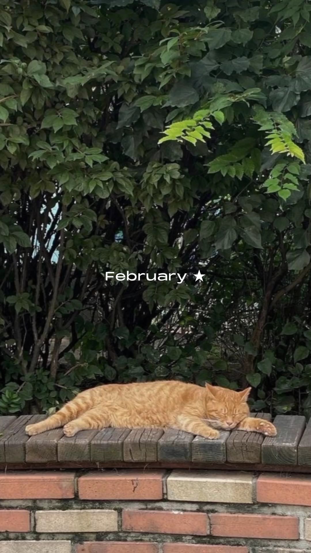 February dump