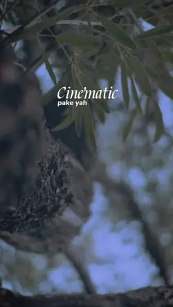 cinematic