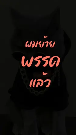 แคปชั่นเลือกตั้ง