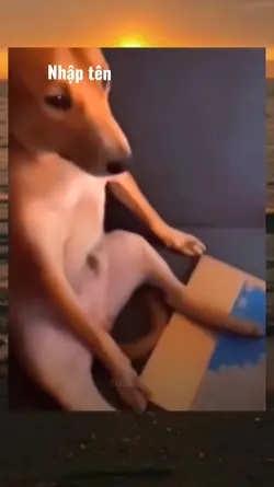 Mẫu Troll Bạn Bè