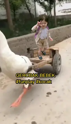 Naik Gerobak Bebek