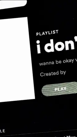 Filter pudar estetik