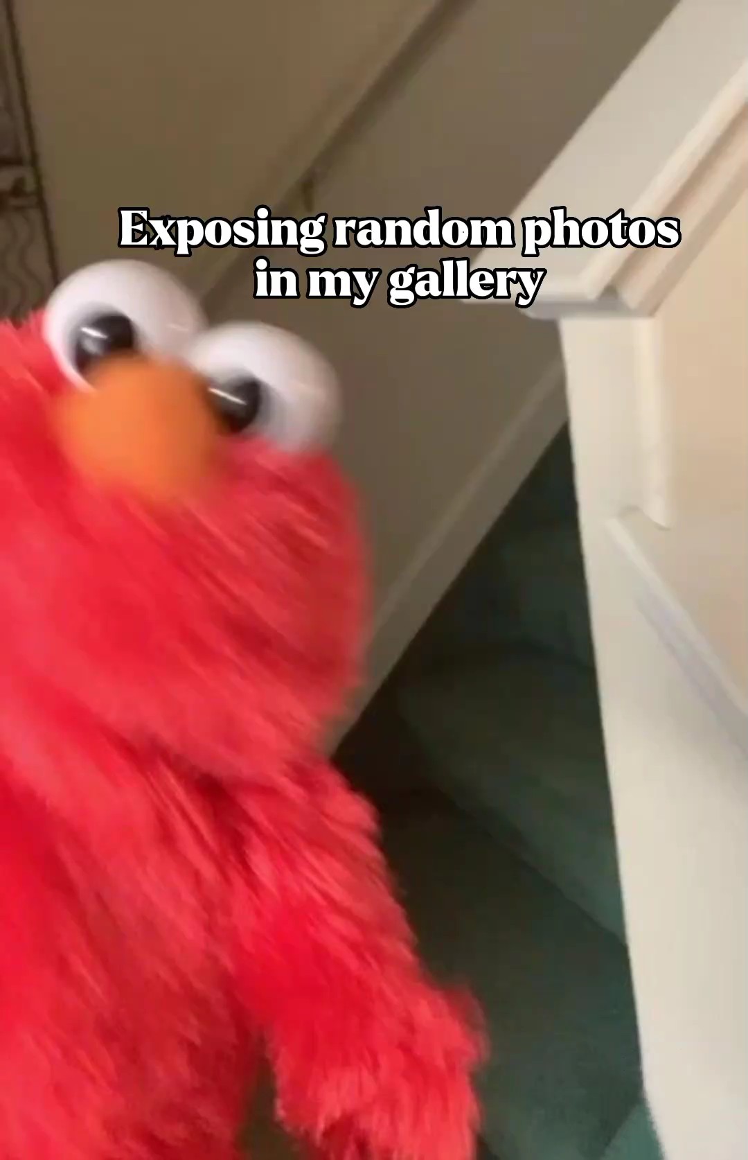mengekspos foto rndm